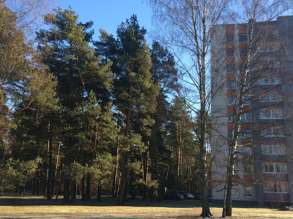 Apartamento Angel Druskininkai Exterior foto